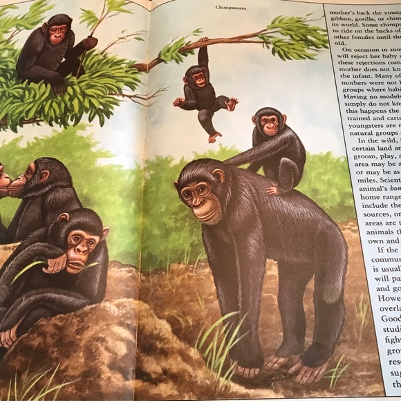 3 Hardcover Children’s Books - Picture 3 of 8